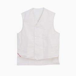 Molskindsvest